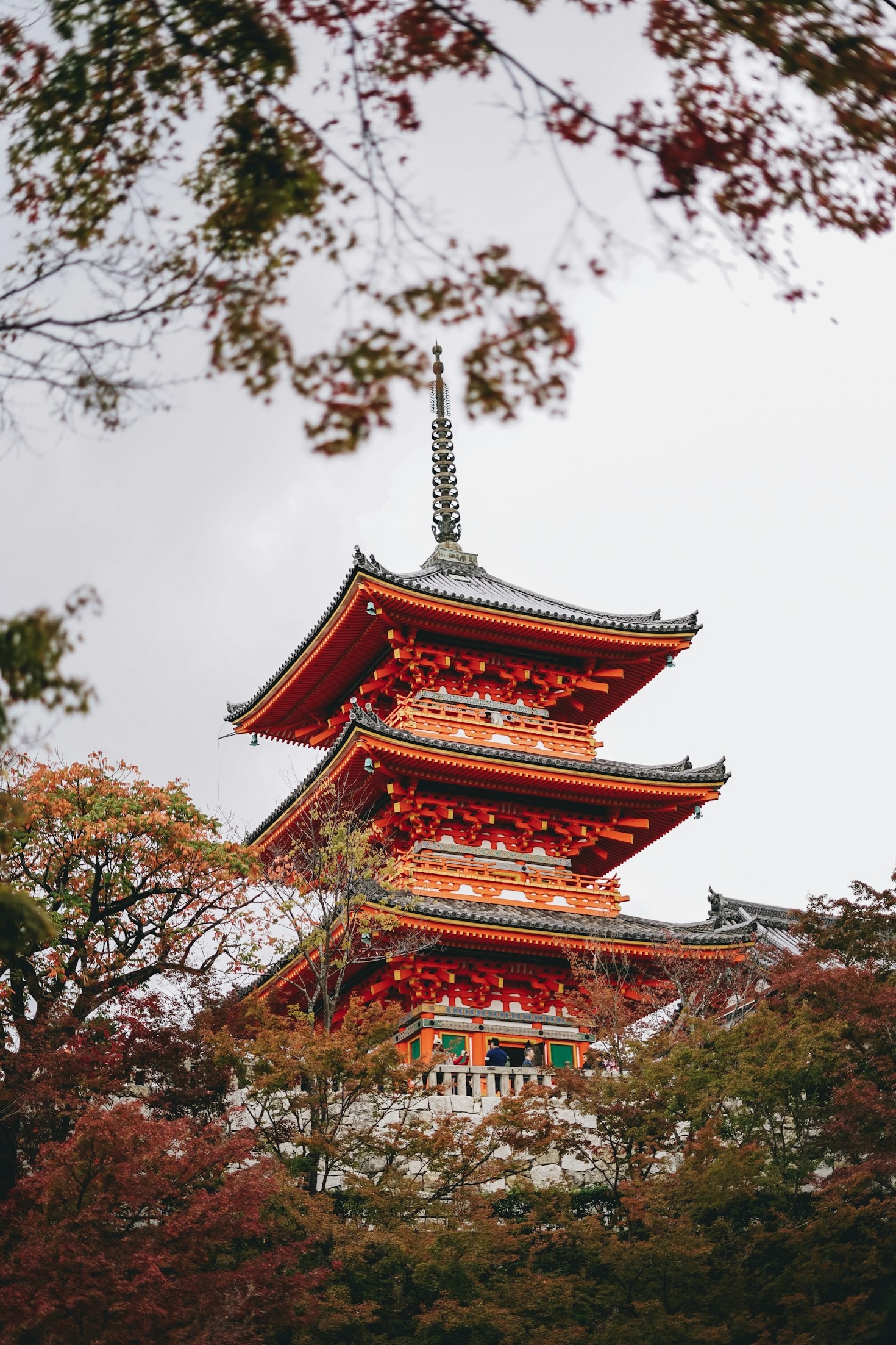Must-Watch Japanese Shows for Every Genre Enthusiast